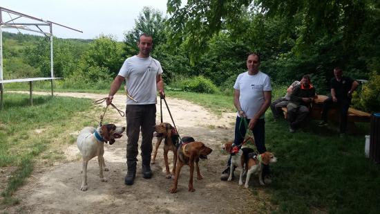 Aufrant Boris de Pérreon (69). Meute de Gascon, Beagles et Bruno st hubert.