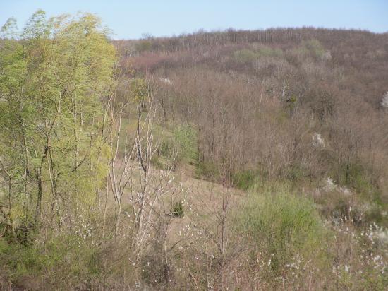 Parc des Eynauds